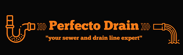 Perfecto Drain Logo